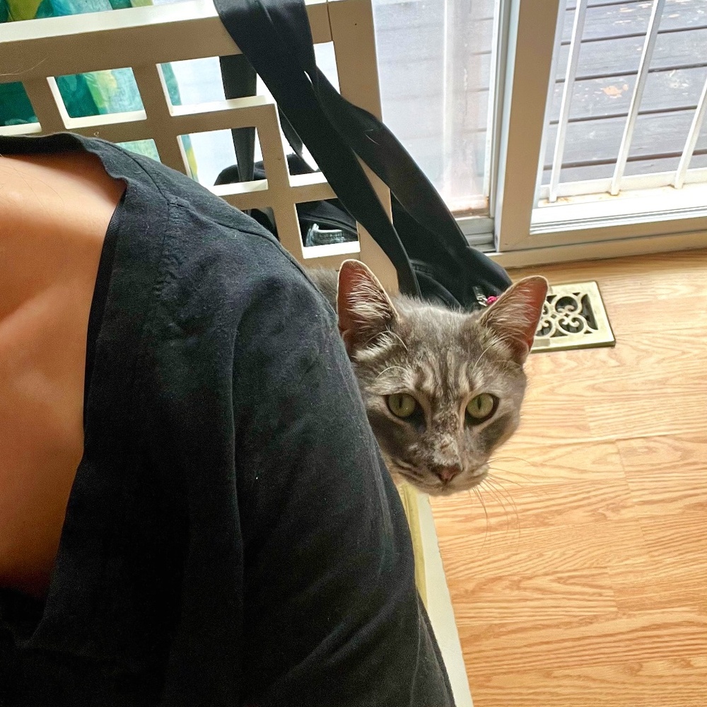 Meet your Posher, Chaia